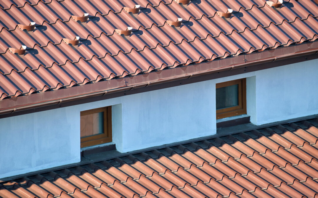 proteger-toit-mousse-ardeche