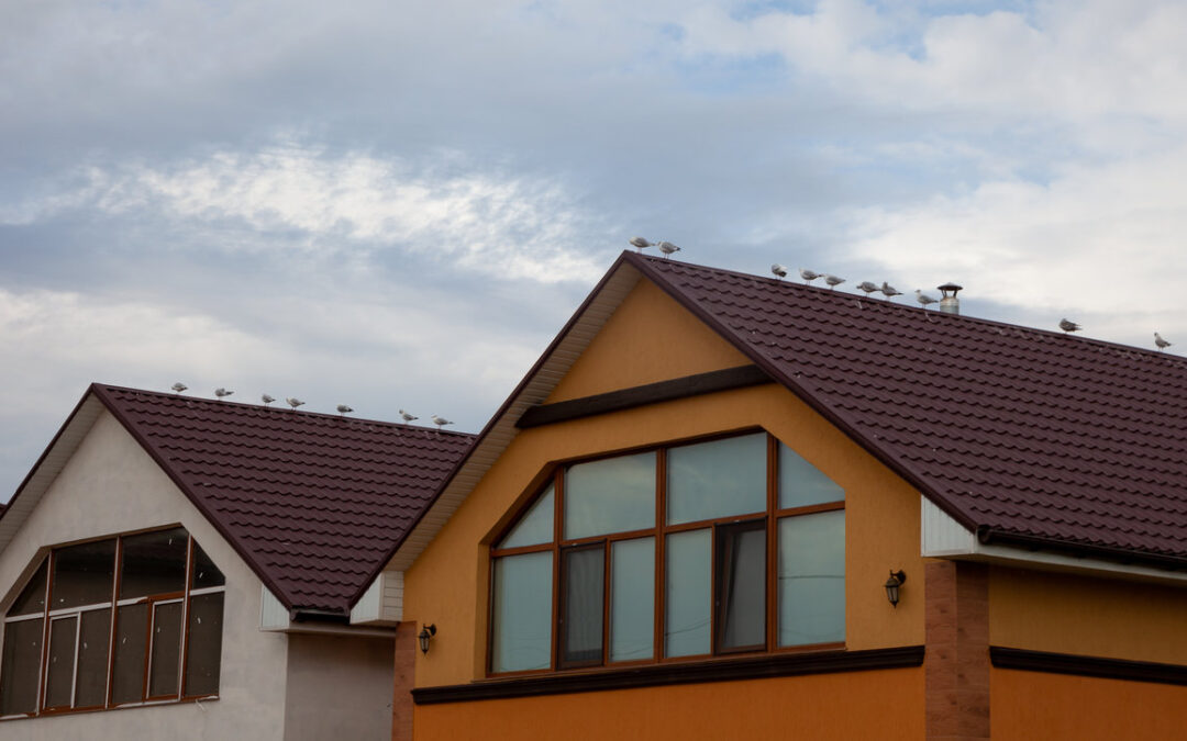 Risques fuites toiture