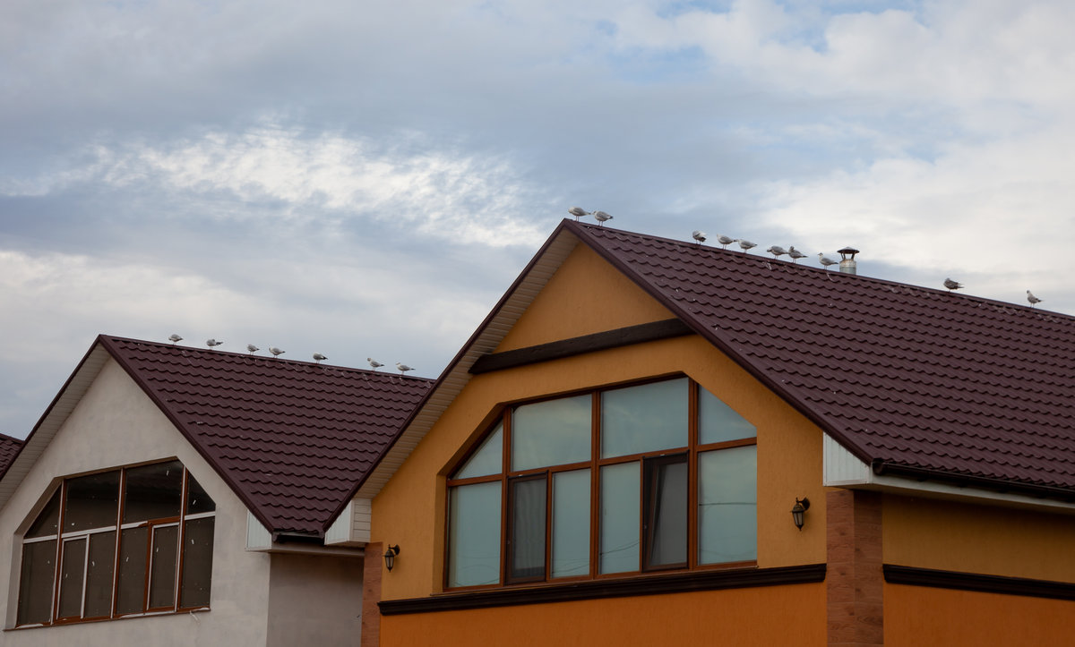 Fuite de toiture : exemple et signes d’alerte